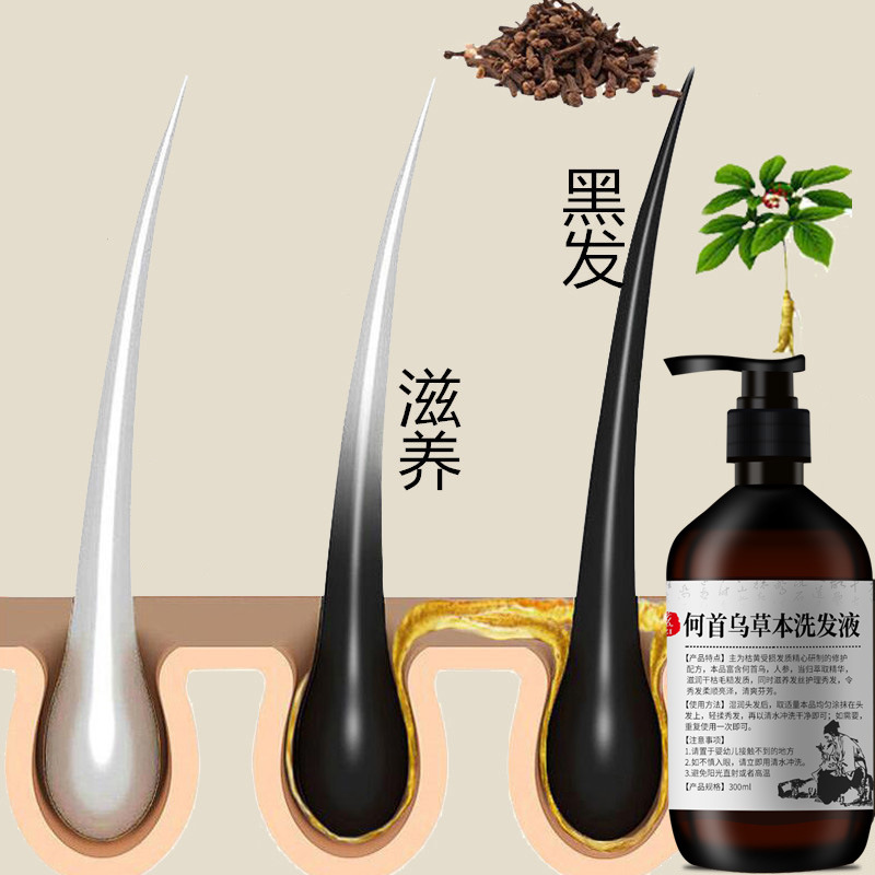 300ml Polygonum multiflorum sh - огляд і ціна Hair Care Herbal